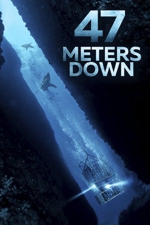47 Metres Down (2017) Dual Audio | Hindi Full Movie BluRay 300MB
