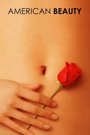 American Beauty 1999 Dual Audio WEB-DL | Hindi Full Movie