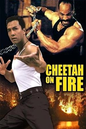 Cheetah on Fire 1992 Dual Audio | Hindi Full Movie Web-DL [900MB]