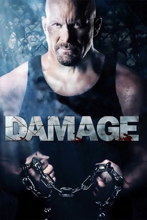Damage 2009 Dual Audio | Hindi Full Movie BluRay 330MB