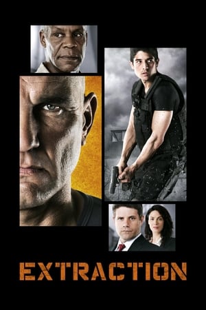 Extraction 2013 Dual Audio | Hindi Full Movie WebRip 330MB