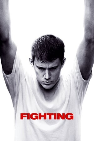Fighting (2009) Dual Audio | Hindi Full Movie BluRay [1.1GB]