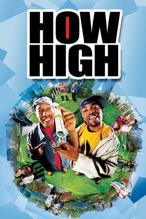 How High (2001) Dual Audio | Hindi Full Movie WebRip 300MB