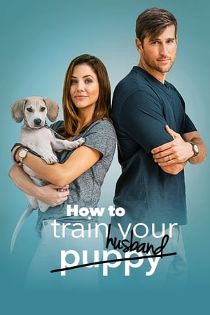 How to Train Your Husband 2018 Dual Audio | Hindi Full Movie BluRay 300MB