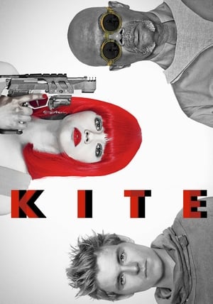 Kite 2014 Dual Audio Movie | Hindi Full Movie BluRay - 1GB