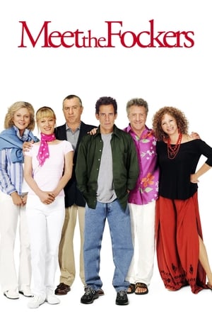 Meet the Fockers (2004) Dual Audio | Hindi Full Movie BluRay [1.1GB]