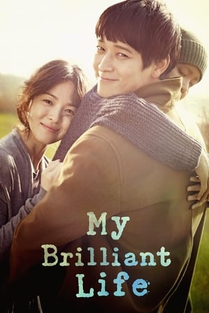 My Brilliant Life (2014) Dual Audio HDRip | Hindi Full Movie – 720p – 480p