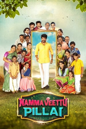 Namma Veettu Pillai (2019) ( -Tamil) Dual Audio | Hindi Full Movie UnCut HDRip [1.4GB]