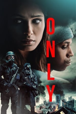 Only 2019 Dual Audio | Hindi Full Movie Web-DL 300MB