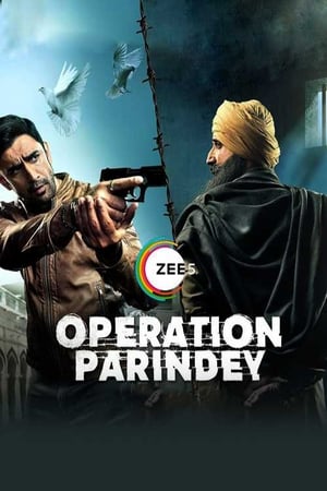 Operation Parindey 2020 Movie | Hindi Full Movie HDRip - [200MB]