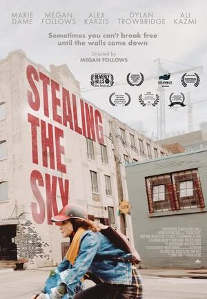 Stealing the Sky 2025 English Audio WEB-DL | Hindi Full Movie