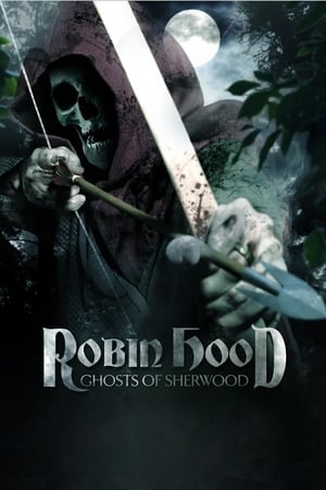 Robin Hood: Ghosts of Sherwood (2012) Dual Audio | Hindi Full Movie BluRay [1GB]
