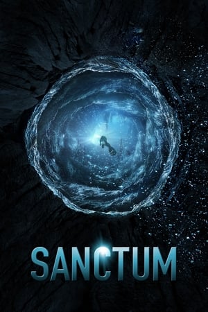 Sanctum (2011) Dual Audio | Hindi Full Movie BluRay 400MB