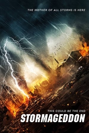 Stormageddon (2015) Dual Audio | Hindi Full Movie BluRay [1.1GB]