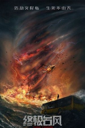 Super Typhoon 2020 Dual Audio HDRip | Hindi Full Movie – 480p