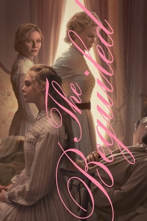 The Beguiled (2017) Dual Audio | Hindi Full Movie BluRay [780MB]