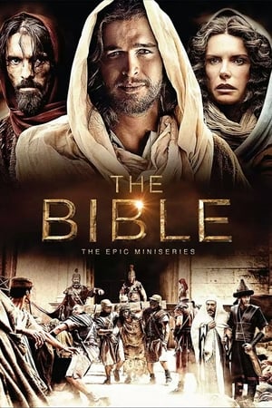 The Bible 2013 S01E05 () Dubbed | Hindi Full Movie BRRip [250MB]