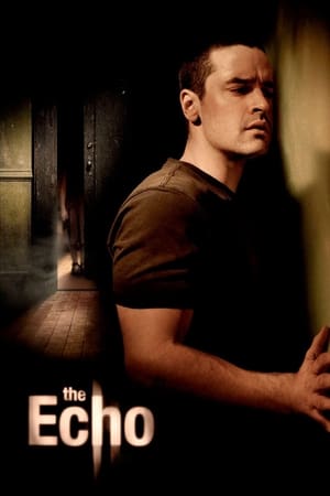 The Echo (2008) Dual Audio | Hindi Full Movie BluRay [900MB]