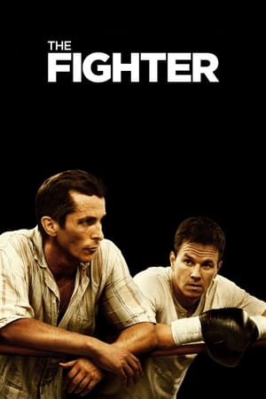 The Fighter (2010) Dual Audio | Hindi Full Movie BluRay [700MB]