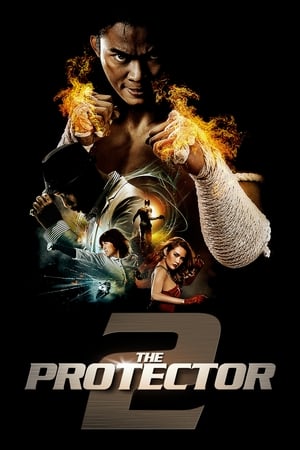 The Protector 2 (2013) 100mb Dual Audio movie Hevc BRRip Download