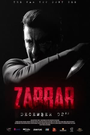 Zarrar (2022) Urdu Movie Pre-DVDRip | Hindi Full Movie – 480p