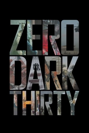 Zero Dark Thirty 2012 Dual Audio | Hindi Full Movie BluRay 450MB